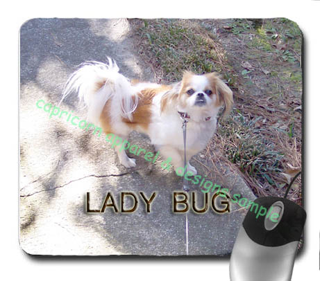 lightdogpad.jpg